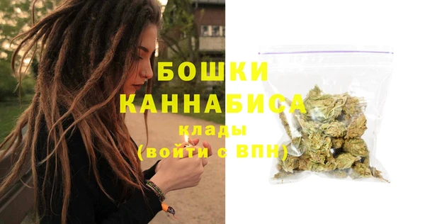 гидра Арсеньев