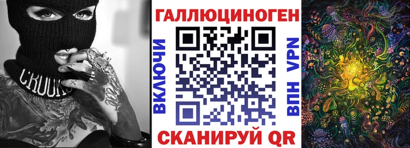 mega как зайти  Миасс  Псилоцибиновые грибы Psilocybine cubensis 